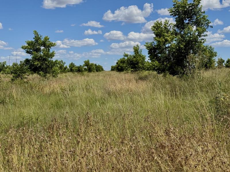 0 Bedroom Property for Sale in Bothaville Free State